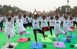 Séance colective de yoga en plein air, le 21 juin 2018 à New Delhi, en Inde