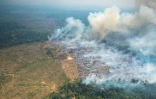Incendie dans le parc national de Chiribiquete, dans le nord-ouest de l'Amazonie colombienne, le 4 février 2022