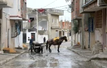 Vue de la localité de Zarzouna, en Tunisie,  près de la maison où habite la famille d'Ahmed Hanachi, désigné comme le meurtrier de deux jeunes cousines à Marseille, le 4 octobre 2017