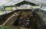 Des archéologues tchèques participent aux fouilles sur le site de Bibracte, ancienne capitale gauloise située en Bourgogne, dans le nord de la France, le 23 août 2017