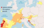 Alertes canicule en Europe