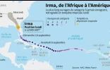 Irma, de l'Afrique à l'Amérique