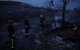 Des pompiers étéignent un foyer d'incendie près de Frontignan, dans l'Hérault, le 18 août 2024 