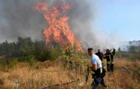 Les pompiers tentent d'éteindre un incendie de forêt dans la banlieue de la capitale du Monténégro, Podgorica, le 11 août 2025, alors que les températures ont atteint 40°C