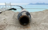 Le tuyau recrache 5.000 m3 de sable à l'heure, l'équivalent de 200 camions dans le cadre de l'élargissement de la plage de Cannes