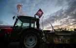 Des vignerons participent à une manifestation organisée par la Fédération Nationale des Syndicats d'Exploitants Agricoles (FNSEA) et les syndicats des Jeunes Agriculteurs (JA) contre l'accord de libre-échange du Mercosur à Béziers, dans le sud de la France, le 26 septembre 2025
