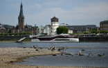 Le Rhin partiellement asséché, le 25 juillet 2022 à Düsseldorf, en Allemagne