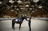 Pauline Basquin, cavalière olympique de dressage et le chavel Sertorius de Rima dans le grand manège des écuyers du Cadre Noir de Saumur, le 5 juin 2025 dans le Maine-et-Loire