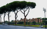 Le Circo Massimo, un ancien site romain, derrière des pins parasols, le 2 décembre 2020 à Rome