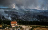 Un habitant observe la progression d'un incendie à Linhares au Portugal, le 11 août 2022