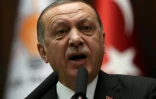 Le président turc Recep Tayyip Erdogan le 9 janvier 2018 à Ankara