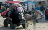 Une Palestinienne et une petite fille sont montées sur une charrette tirée par un âne suite à l'ordre d'évacuation de l'armée israélienne pour certaines parties de Khan Younès, dans le sud de la bande de Gaza, le 23 juillet 2024