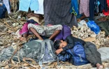 Plus d'une centaine de réfugiés rohingyas sont arrivés sur l'île de Sabang, dans la province d'Aceh (ouest de l'Indonésie), le 2 décembre 2023