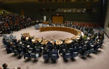 Le Conseil de sécurité de l'ONU le 24 octobre 2017