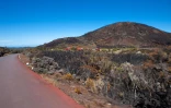 Jeudi 18 Novembre 2010

Route forestière du volcan photo Laurent Capmas
