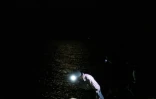 Kristi Lieske (G), Wyatt Mosiman et Matthew Oswald étudient des crabes fer à cheval sur une plage près de Dover, dans le Delaware, le 17 juin 2022