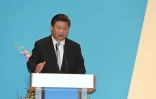 Le président chinois Xi Jinping, le 7 novembre 2015 à Singapour