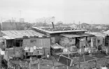 Un grand nombre de familles d'immigrés vivent dans le bidonville de Nanterre, ici photographié en mars 1964, quand éclatent les événements de mai 1968