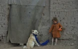 Un enfant et un chien, le 3 février 2020 à Jalalabad, en Afghanistan 