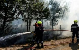 Des pompiers tentent d'éteindre un incendie à Artigues, dans le Var, le 25 juillet 2017