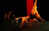 Vendredi 26 novembre 2010

Festival &quot;Danses et Docks&quot; au Port

(Photo Marie Trouvé)
