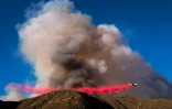 Un bombardier d'eau largue un produit retardant sur les collines menacées par l'incendie Blue Cut, le 16 août 2016 à Lytle Creek, en Californie