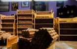 Des caisses de cigares fraîchement roulées dans la fabrique qui produit les prestigieux cigares  Cohiba, à La Havane, le 8 septembre 2022