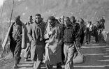 Des Républicains espagnols en février 1939, qui traversent la frontière pour arriver en France, au Perthus, après leur défaite contre les nationalistes de Franco, lors de la guerre civile
