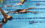 Dimanche 28 Novembre 2010

Championnat de La Réunion  de natation en petit bassin