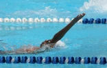 Dimanche 28 Novembre 2010

Championnat de La Réunion  de natation en petit bassin