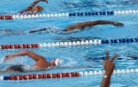 Dimanche 28 Novembre 2010

Championnat de La Réunion  de natation en petit bassin