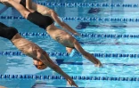 Dimanche 28 Novembre 2010

Championnat de La Réunion  de natation en petit bassin