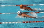 Dimanche 28 Novembre 2010

Championnat de La Réunion  de natation en petit bassin
