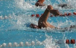 Dimanche 28 Novembre 2010

Championnat de La Réunion  de natation en petit bassin