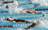 Dimanche 28 Novembre 2010

Championnat de La Réunion  de natation en petit bassin