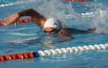 Dimanche 28 Novembre 2010

Championnat de La Réunion  de natation en petit bassin
