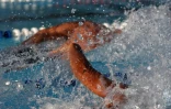 Dimanche 28 Novembre 2010

Championnat de La Réunion  de natation en petit bassin