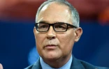 Scott Pruitt, ministre américain de l'Environnement, lors d'un congrès à New-York le 19 septembre 2017