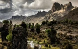 La vallée de Mackinder depuis les contreforts du mont Kenya, dans le parc national du mont Kenya, le 7 mars 2025
