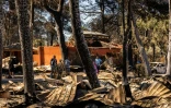 Le camping Brasilia sinistré par les flammes, le 3 juillet 2026 à Canet-en-Roussillon, dans les Pyrénnées-0rientales