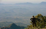 Un soldat mexicain regarde le paysage et les champs de pavots à opium dans la région montagneuse de l'Etat de Sinaloa, près de la localité de Surutato, le 8 décembre 2016
