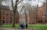 Le campus de l'Université Harvard à Cambridge, dans le Massachusetts, le 15 avril 2025