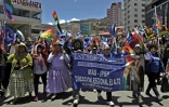 Des partisans du président socialiste Evo Morales manifestent à La Paz, le 23 octobre 2019