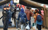 Des migrants passent la frontière entre la Serbie et la Croatie le 26 octobre 2015 à Berkasovo
