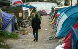 Un migrant au milieu des tentes le 1er octobre 2016 dans la "Jungle" de Calais