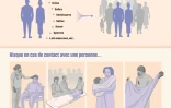 Virus Ebola : comment se transmet-il entre humains ?