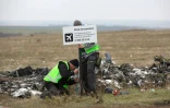 Des enquêteurs néerlandais placent un panneau devant des débris du vol MH17 près du village de Grabove, dans l'est séparatiste de l'Ukraine, le 11 novembre 2014