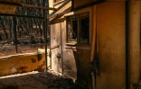 La maison d'Eleni Haniosakis qui a brûlé dans les feux de forêts, le 13 août 2021 à Krioneri, au nord d'Athènes
