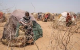 Le camp de Farburo 2 pour personnes déplacées, le 6 avril 2022 près de Gode, en Ethiopie