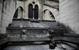 Détail du toit de la cathédrale Notre-Dame de Paris, endommagée par la pollution de l'air et les pluies acides, le 28 juin 2017